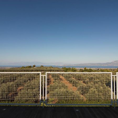 Country Villa Peloponnese with tennis court&pool Zevgolateíon Extérieur photo