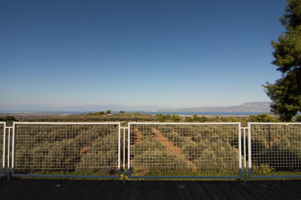 Country Villa Peloponnese with tennis court&pool Zevgolateíon Extérieur photo
